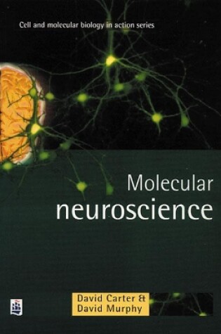 Cover of Molecular Neuroscience