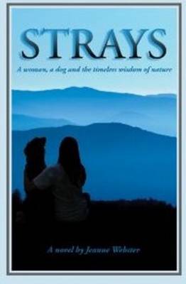 Book cover for Strays