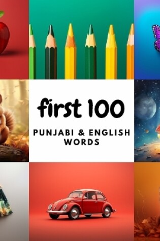 Cover of First 100 Punjabi & English Words