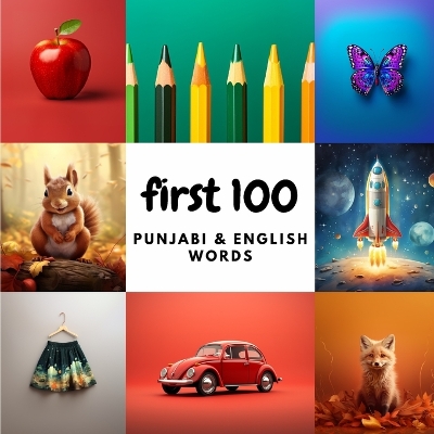 Book cover for First 100 Punjabi & English Words