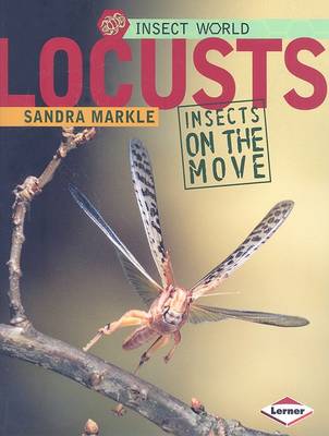 Book cover for Locusts