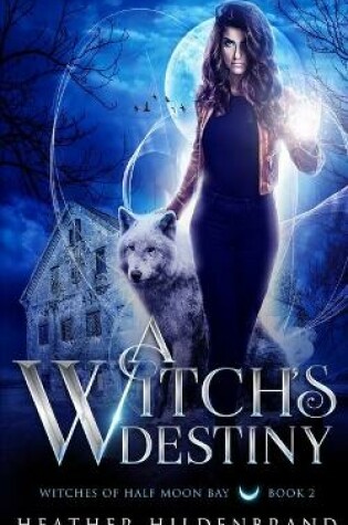 Cover of A Witch's Destiny