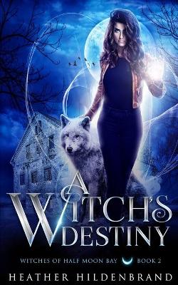 Cover of A Witch's Destiny