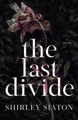 Book cover for The Last Divide