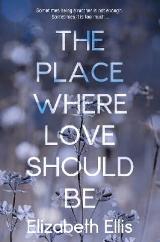 Cover of The Place Where Love Should Be