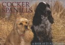 Cover of Cocker Spaniels Postcard Book