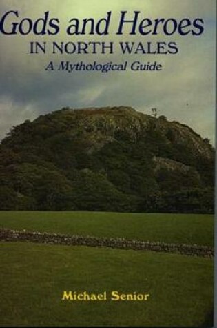 Cover of Gods and Heroes in North Wales - A Mythological Guide