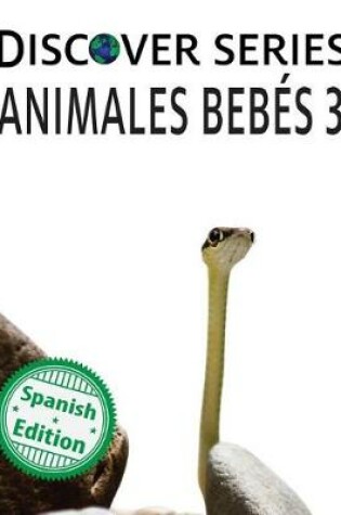 Cover of Animales Bebes 3