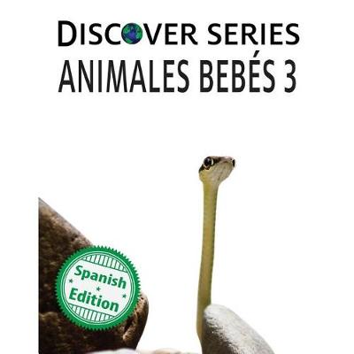 Book cover for Animales Bebes 3