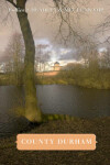 Book cover for Follies of Cumbria