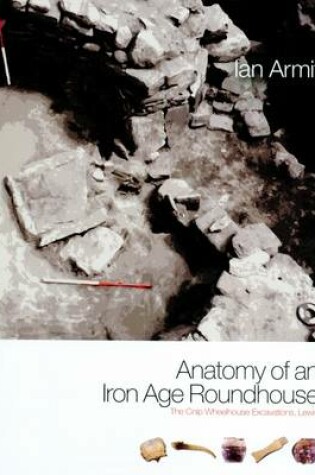 Cover of Anatomy of an Iron Age Roundhouse