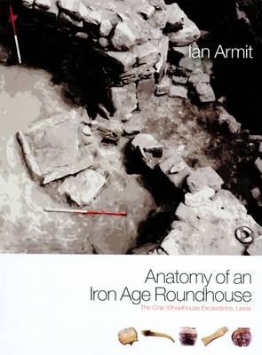 Book cover for Anatomy of an Iron Age Roundhouse