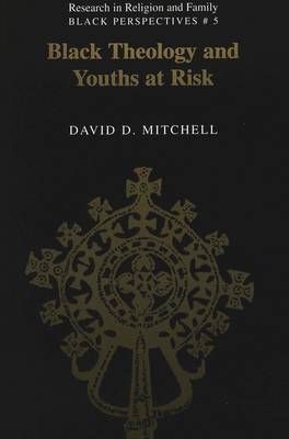 Book cover for Black Theology and Youths at Risk