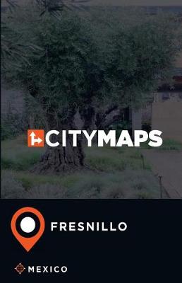 Book cover for City Maps Fresnillo Mexico