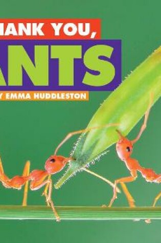 Cover of Thank You, Ants