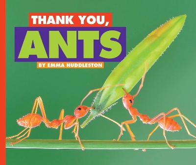 Cover of Thank You, Ants