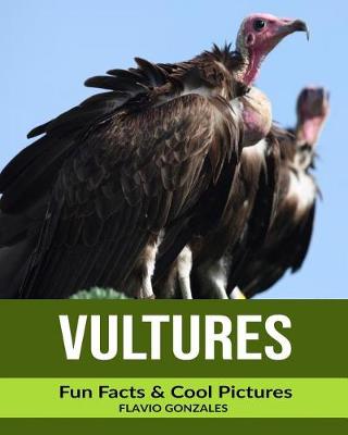 Book cover for Vultures