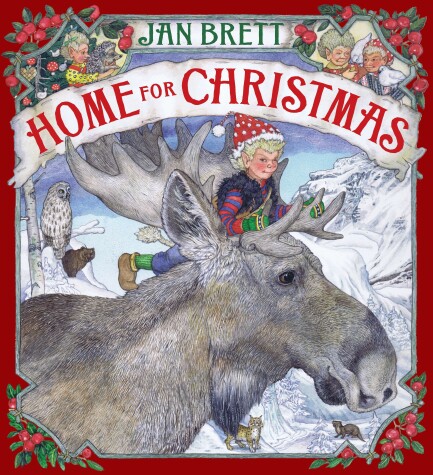 Book cover for Home for Christmas