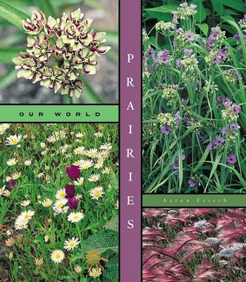 Cover of Prairies