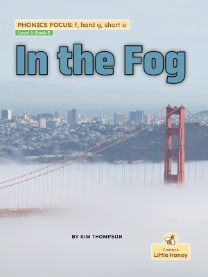 Book cover for In the Fog