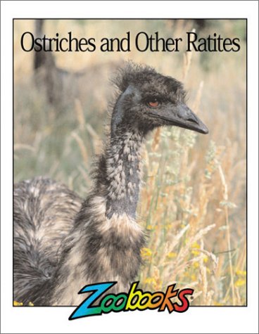 Book cover for Ostriches