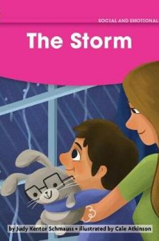 Cover of The Storm Leveled Text