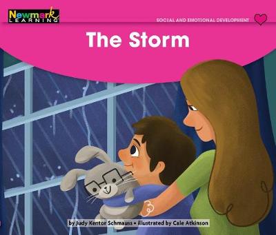 Book cover for The Storm Leveled Text