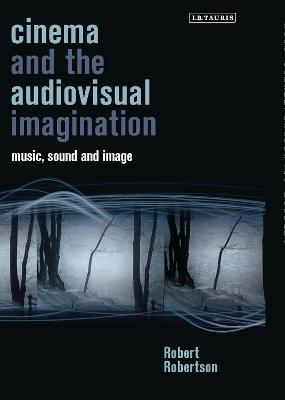 Book cover for Cinema and the Audiovisual Imagination