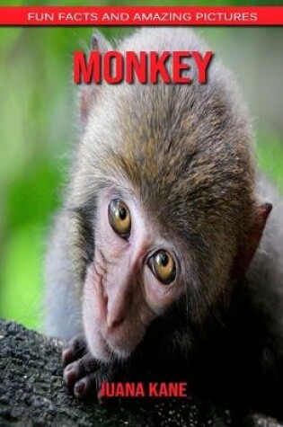 Cover of Monkey