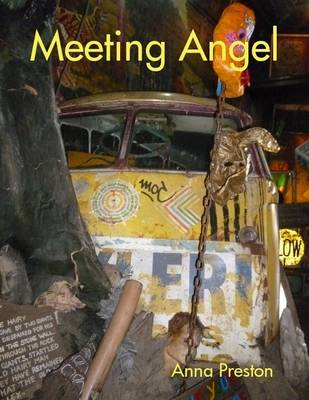 Book cover for Meeting Angel