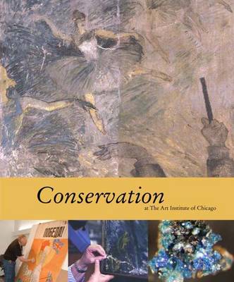 Book cover for Conservation at the Art Institute of Chicago