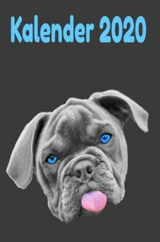 Cover of Bulldoge Kalender 2020