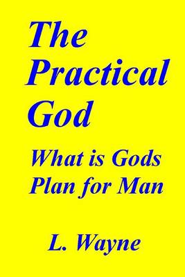 Book cover for The Practical God