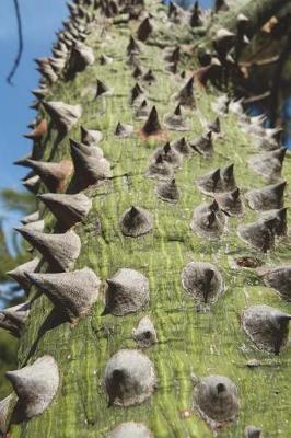 Book cover for Ceiba Speciosa Close Up Barbed Silk Floss Tree Journal