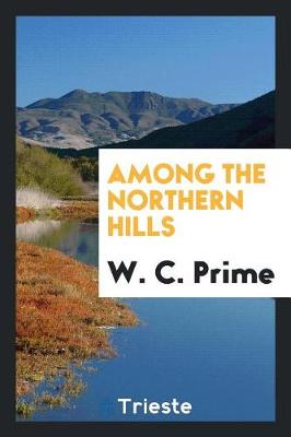 Book cover for Among the Northern Hills