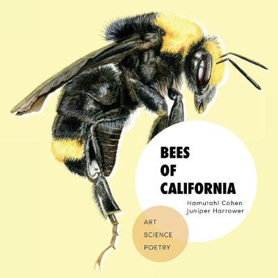 Cover of Bees of California