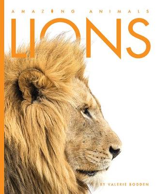 Book cover for Lions