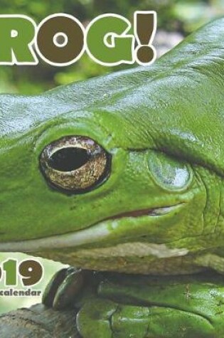 Cover of Frog! 2019 Calendar