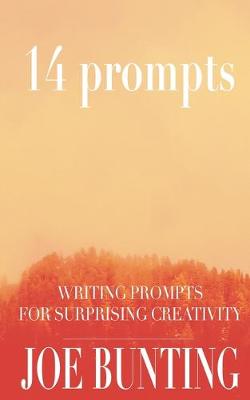 Book cover for 14 Prompts