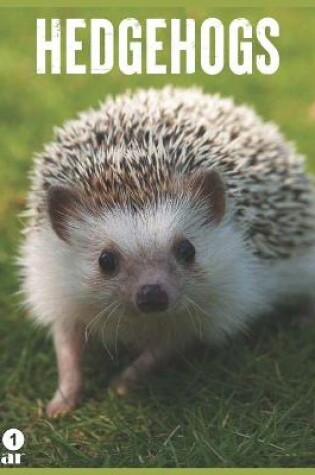 Cover of Hedgehogs 2021 Calendar