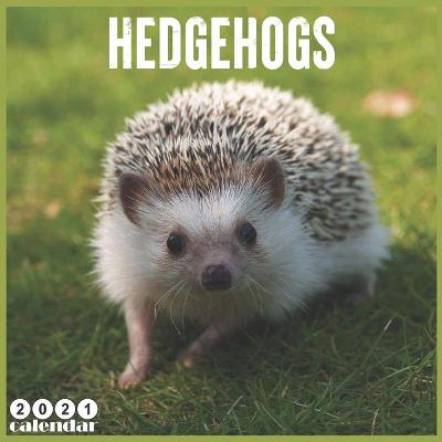 Book cover for Hedgehogs 2021 Calendar