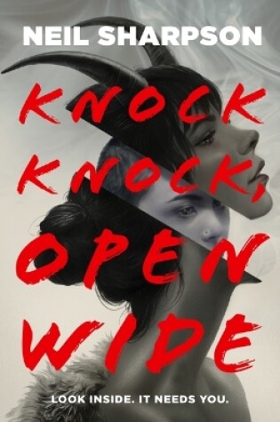 Cover of Knock Knock, Open Wide
