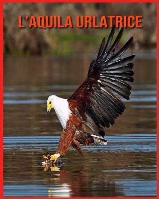 Book cover for L'aquila Urlatrice