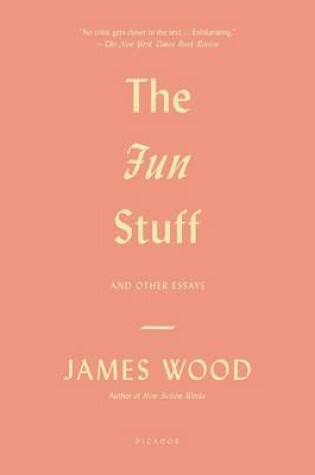 Cover of The Fun Stuff