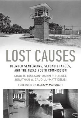 Book cover for Lost Causes