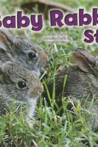 Cover of Baby Rabbit Story