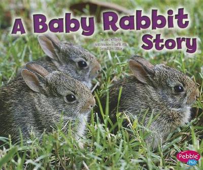 Book cover for Baby Rabbit Story