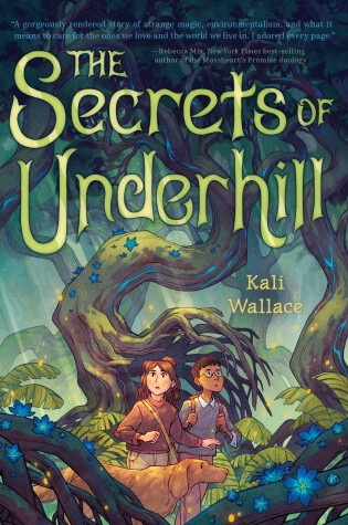 Cover of The Secrets of Underhill