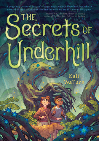 Book cover for The Secrets of Underhill