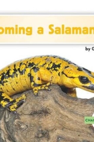 Cover of Becoming a Salamander